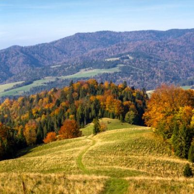 Beskid Sądecki Szlaki